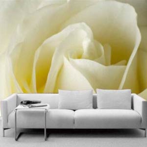 沙發(fā)無紡布